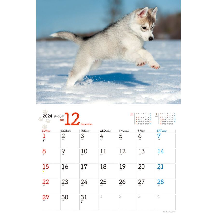わんこ2024　12月