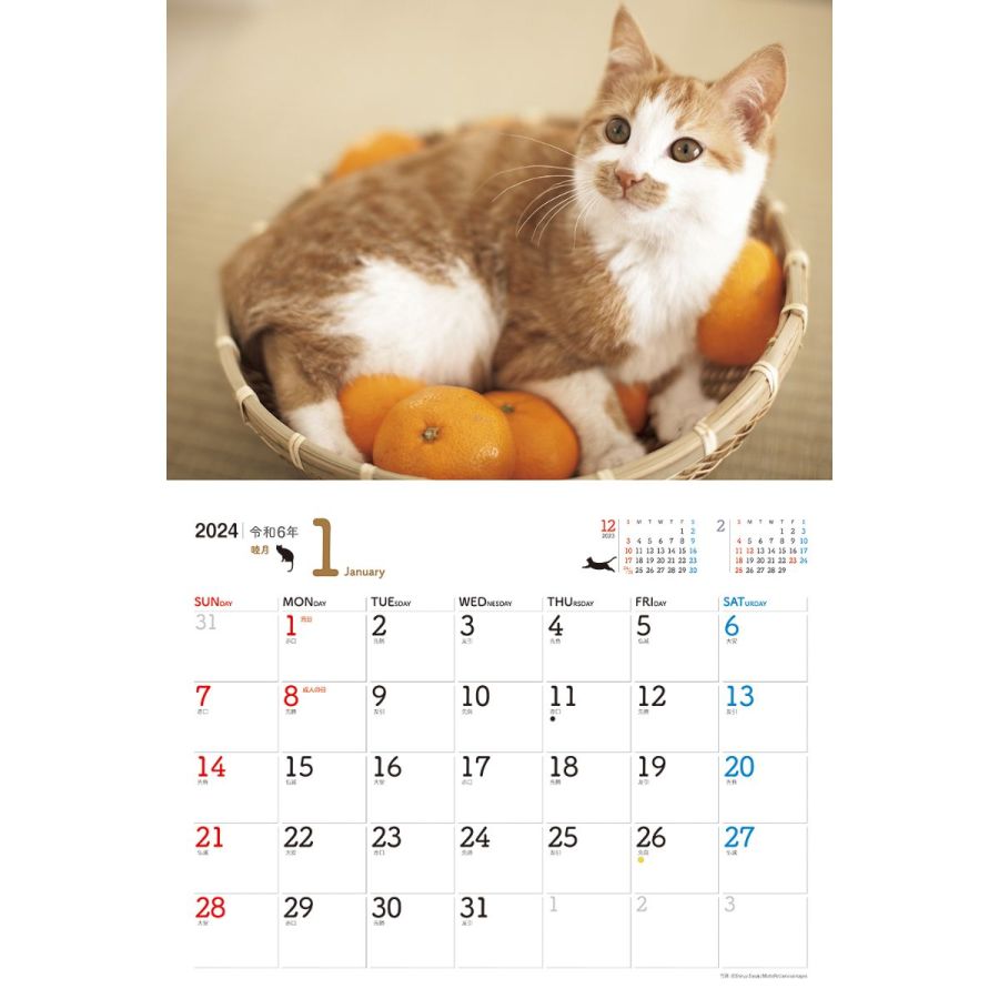 にゃんこ　2024　1月