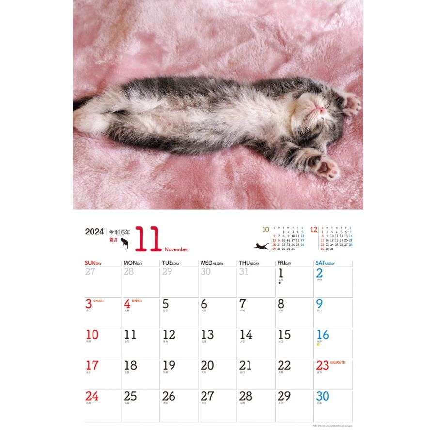 にゃんこ　2024　11月
