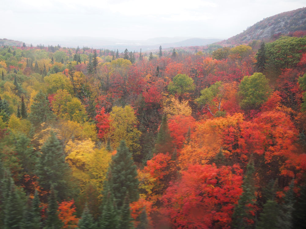 アガワ渓谷鉄道からの景色