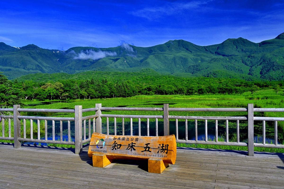 高架木道にある湖畔展望台から知床連山の眺め