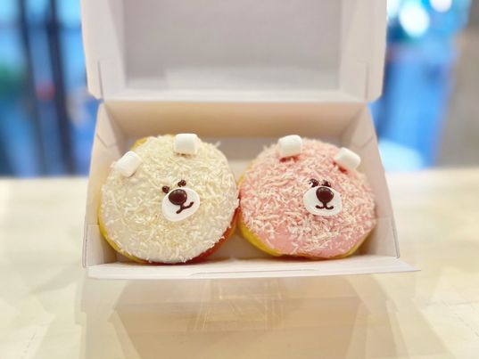 「the bear」(セット販売)