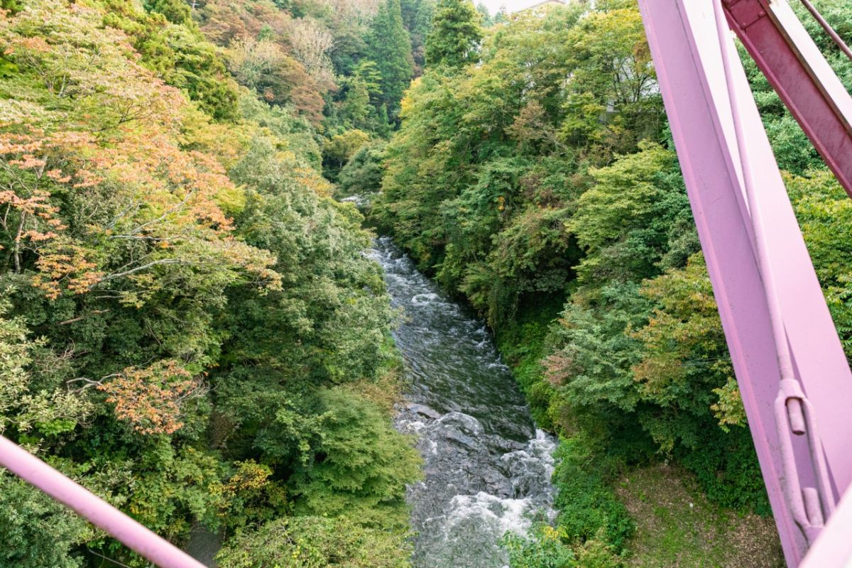 取材に行った 2023年10月時点のあやとりはしからの眺め