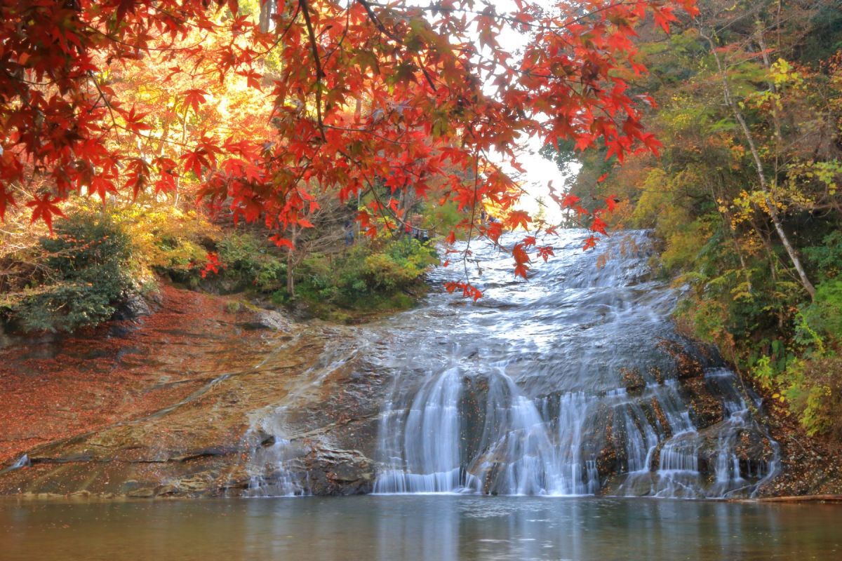 優雅に流れ落ちる粟又の滝