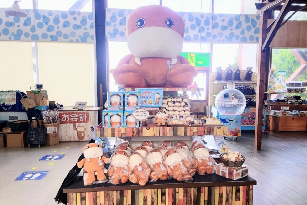 画像提供：伊豆・三津シーパラダイス