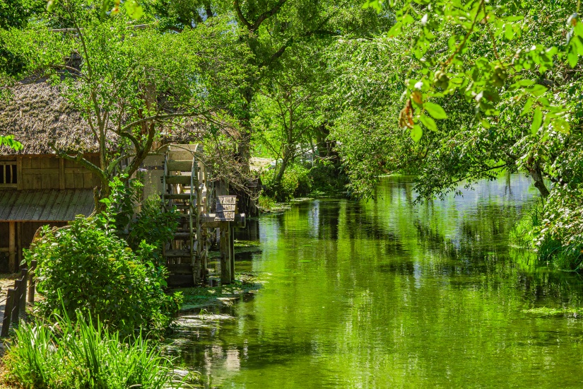 黒澤明監督の映画「夢」のロケ地としても知られる、「大王わさび農場」の水車小屋