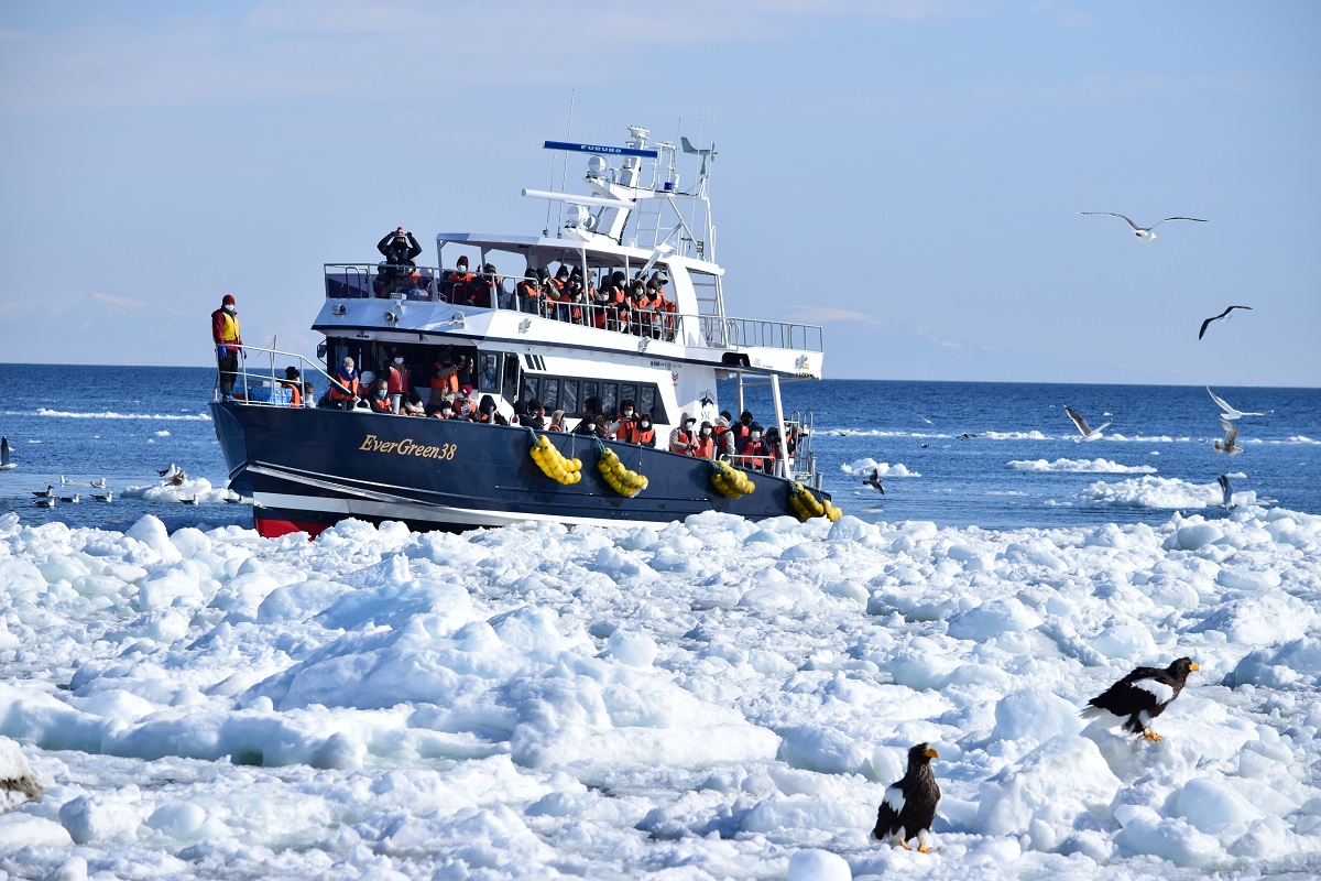 【北海道 知床】冬のアクティビティを楽しもう!流氷クルーズや流氷体験、スノーシュー体験も