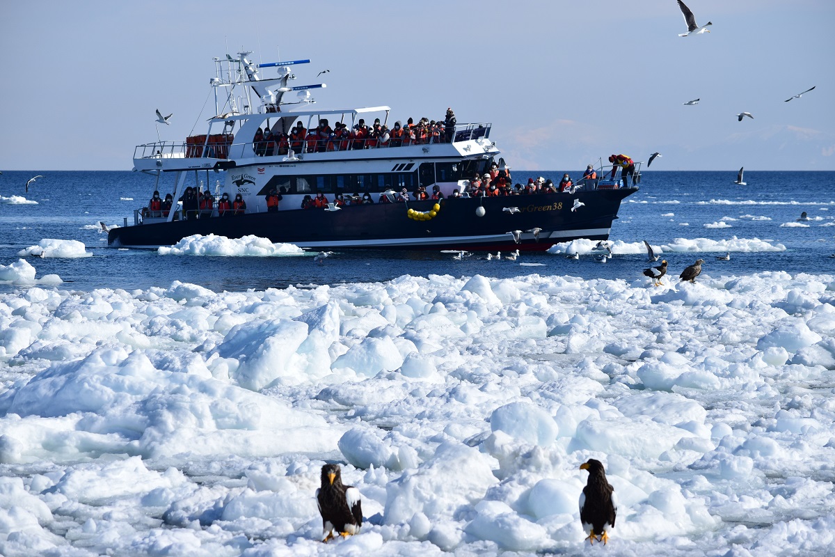 流氷の海でオオワシやオジロワシを観察 / 運航期間:1月下旬~3月中旬