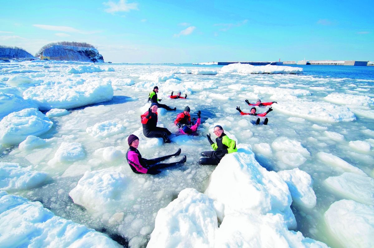見て触れて体験する流氷ウォーク / ゴジラ岩観光
