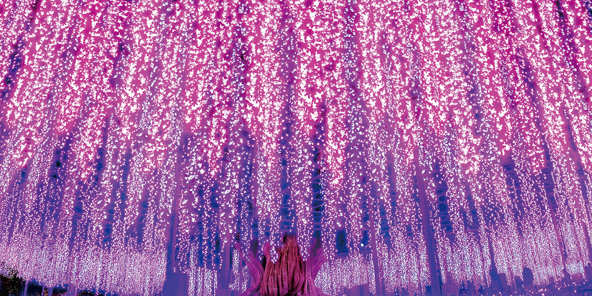 関東イルミネーション人気ランキングTop 10！ 東京・栃木・群馬・千葉のクリスマスから春休みまで！ 2025-2026年最新