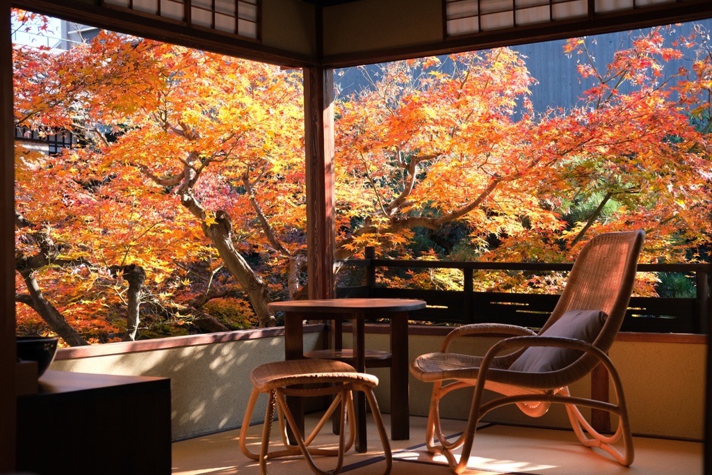 「SOWAKA」本館107号室からの景色／©SOWAKA