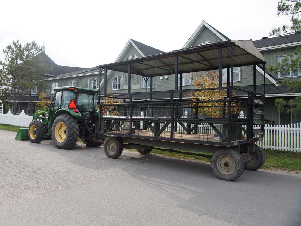 こちらのワゴンに乗って、動物たちとのふれあいに出発