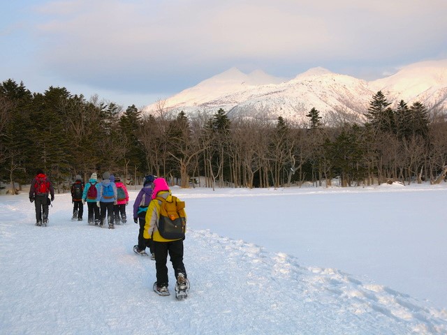 冬の知床五湖をスノーシューで散策