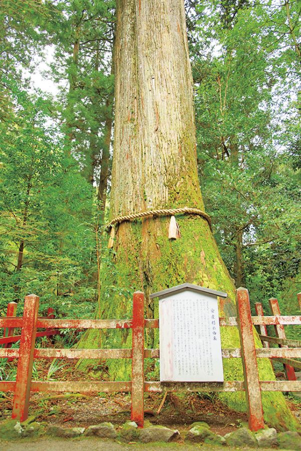 箱根神社