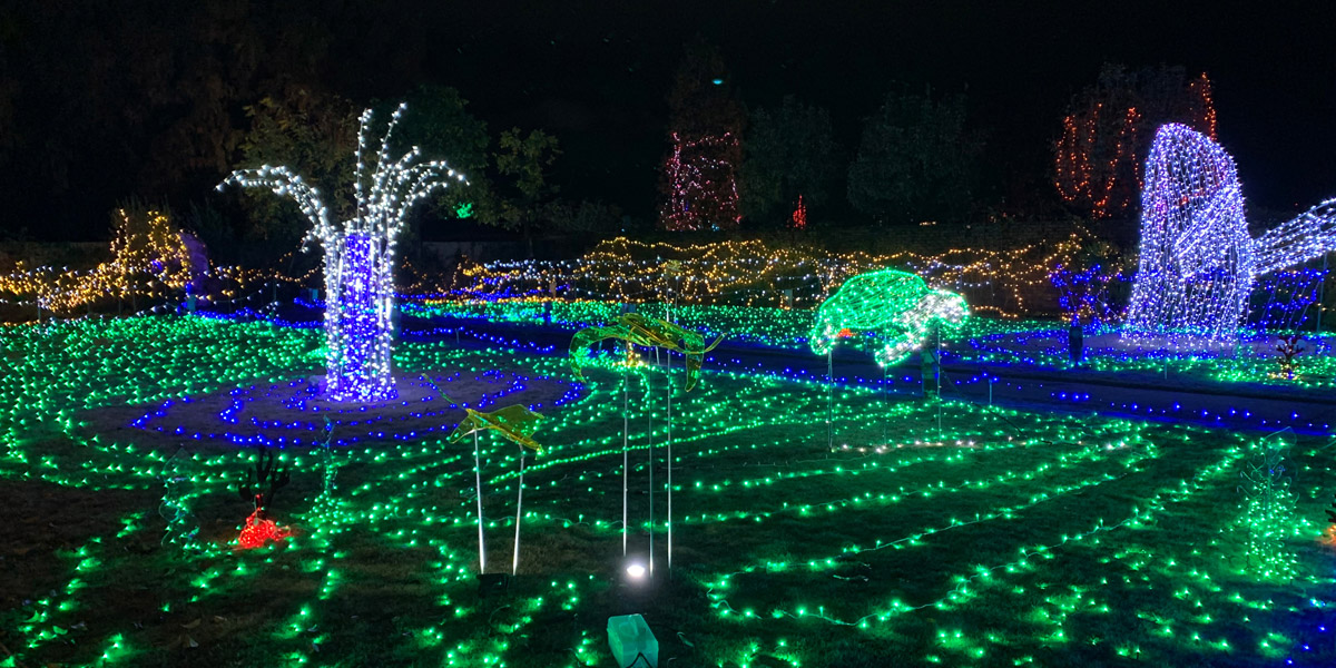 滋賀県のおすすめイルミネーション（2025-2026）クリスマスや冬デートに！