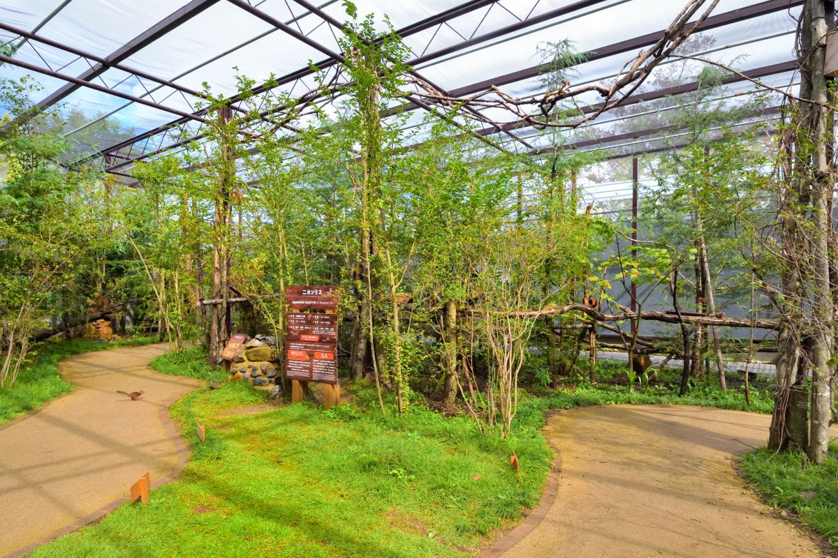 リスの森にお邪魔している気分になれます