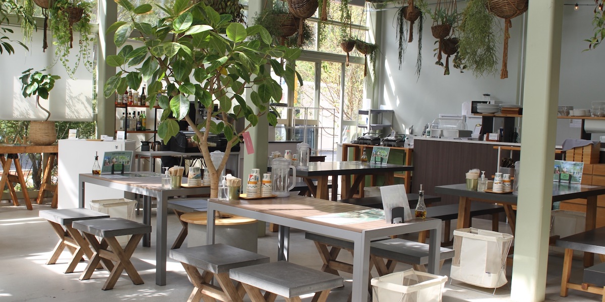 【神戸】植物に囲まれたボタニカルな「ソラカフェ」でほっと心安らぐひとときを