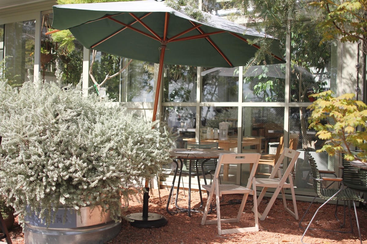 テラス席はワンちゃん同伴可能