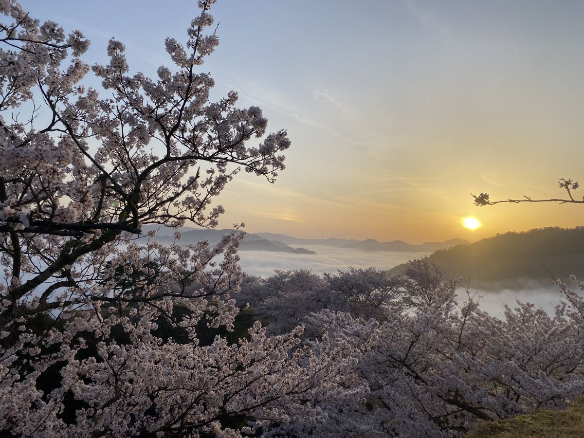 画像提供：兵庫県朝来市