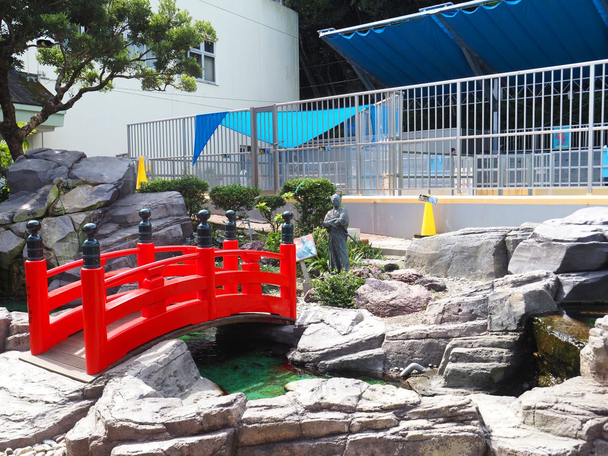 桂浜水族館