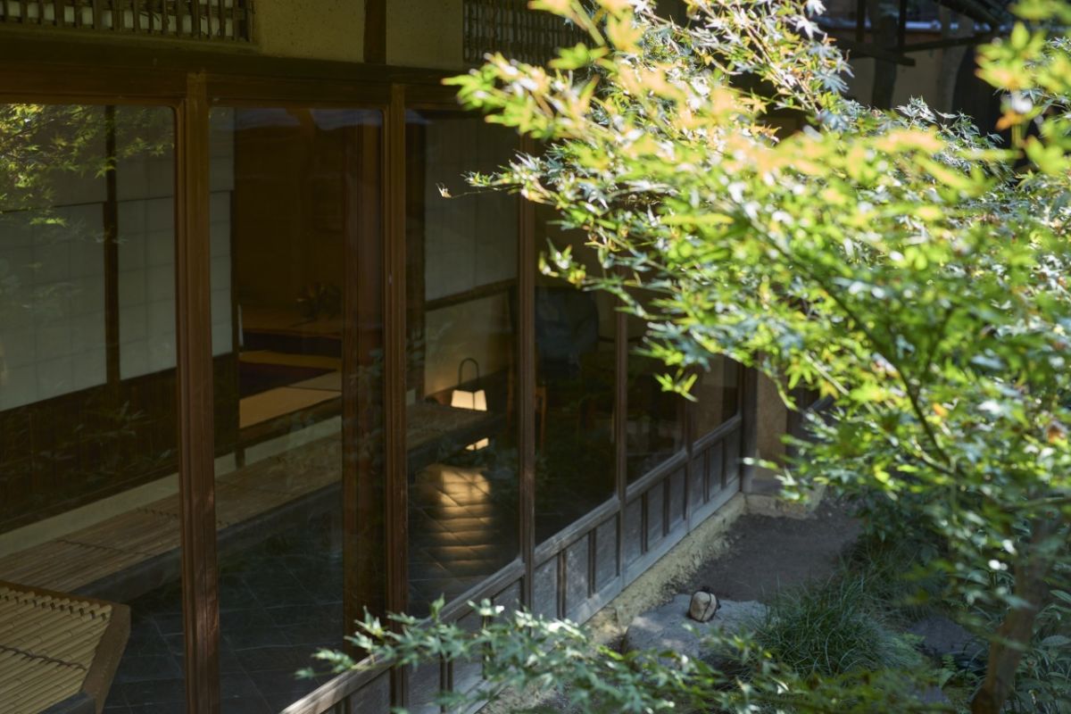 庭のもみじ越しに見える本館客室
