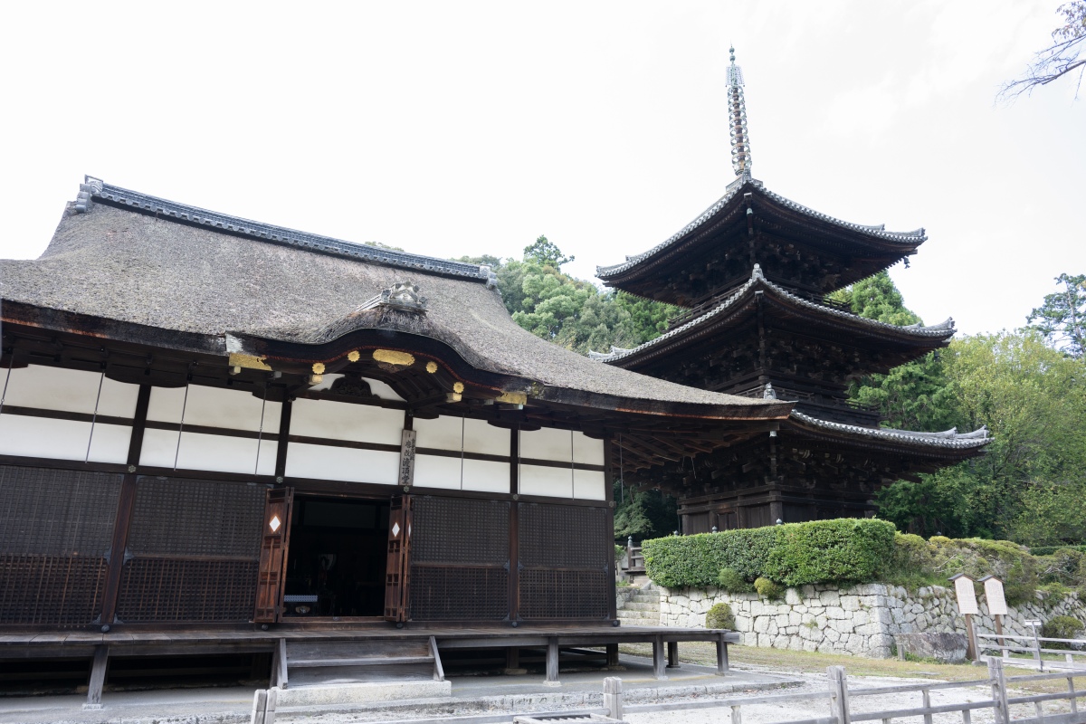 修業を終えた僧侶に密教の奥義を伝える「伝法灌頂」の儀式が行われる唐院の灌頂堂（手前）。現在の建物は桃山時代の建築