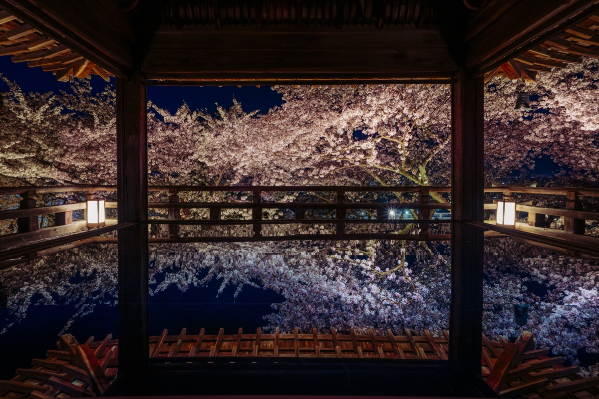 観音堂の隣の観月舞台は、アクリル板を敷き詰めた床に桜が反射する絶好のフォトスポット。拝観は有料、要予約（詳細は三井寺HPを要確認）／写真提供：三井寺