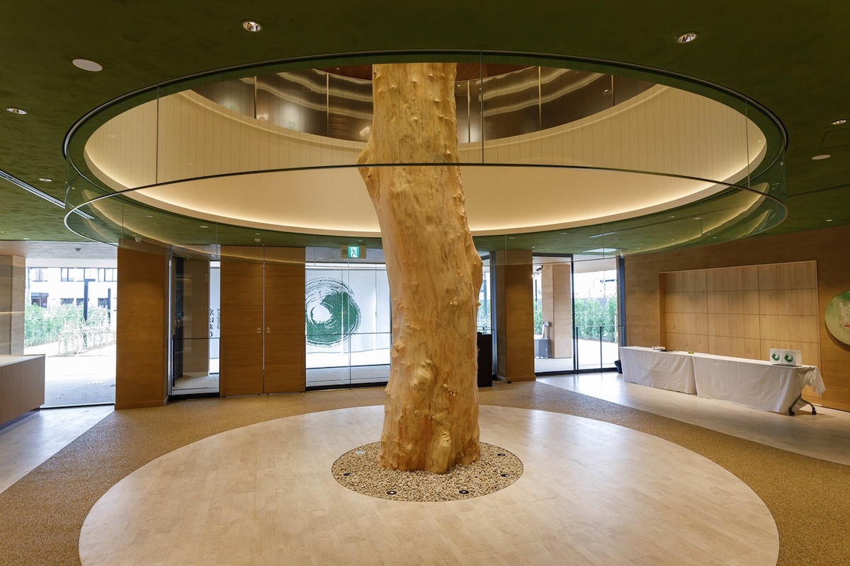 エントランスにはお店のシンボル「トチの木」/©︎atelier京ばあむ