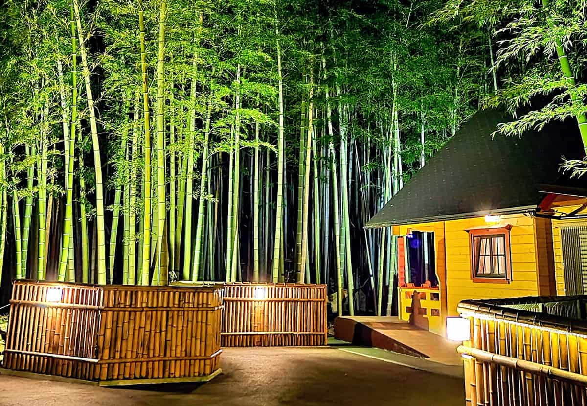 幻想的な竹林の中に建つ別荘