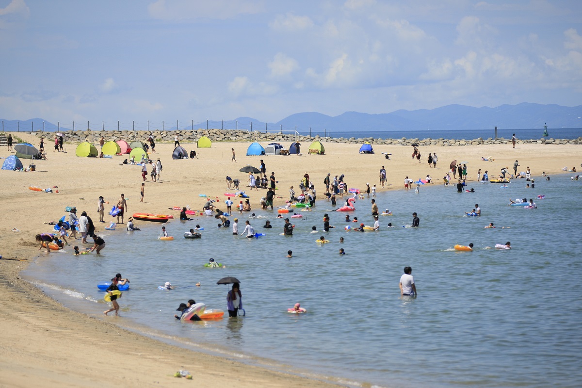 海水浴場はもちろん、釣り場もあります