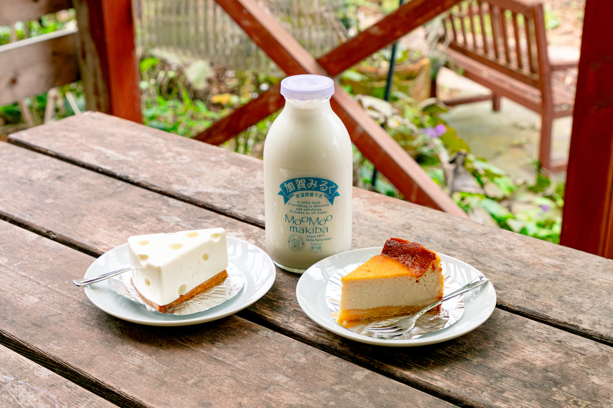 ヨーグルトで作られたチーズケーキ2種と「加賀みるく」（500ml）350円