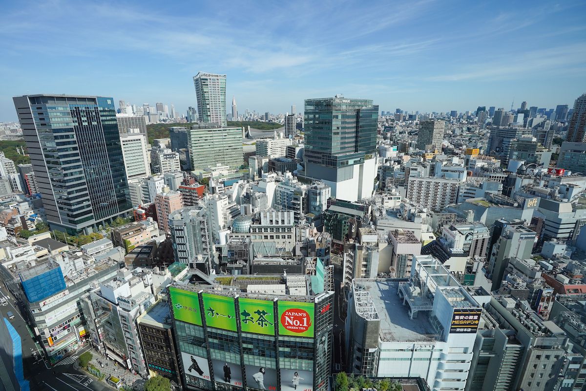 客室からの眺望