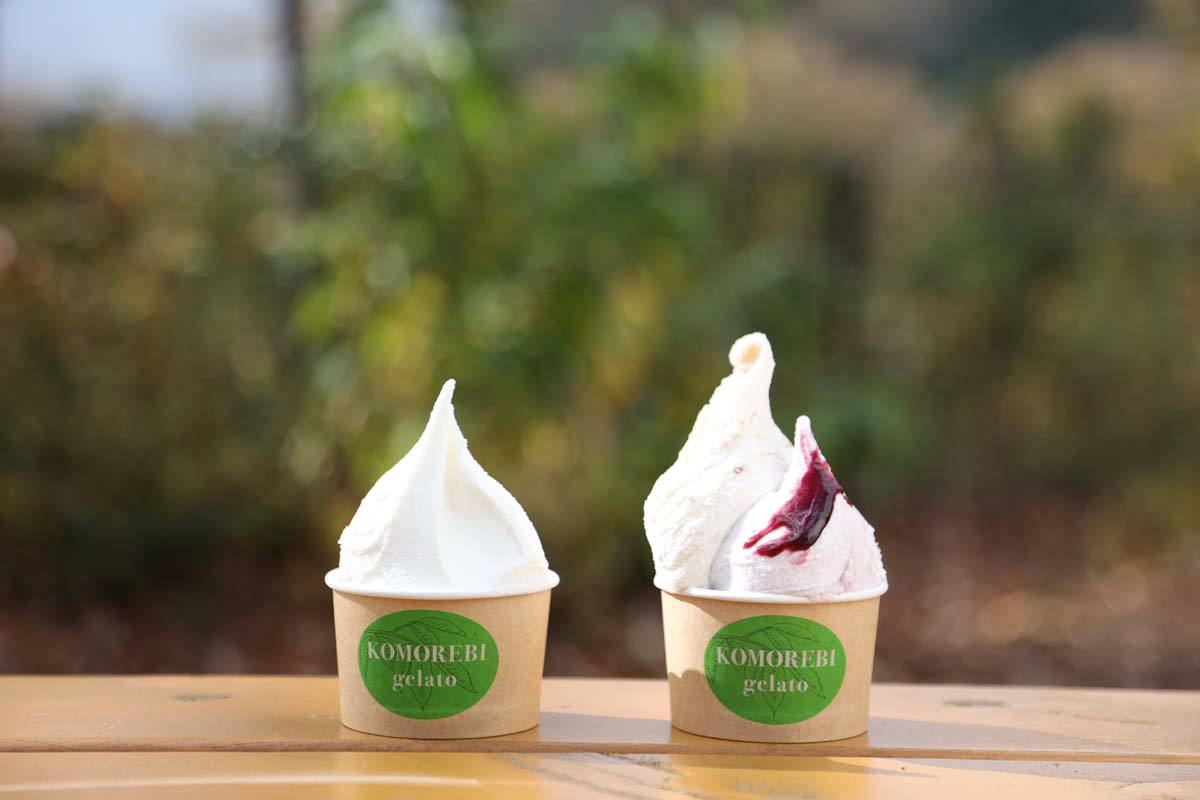 写真左は「牧場ミルク」シングル420円、右は「アーモンドプラリネ」と「秋保ワイン」のダブル520円