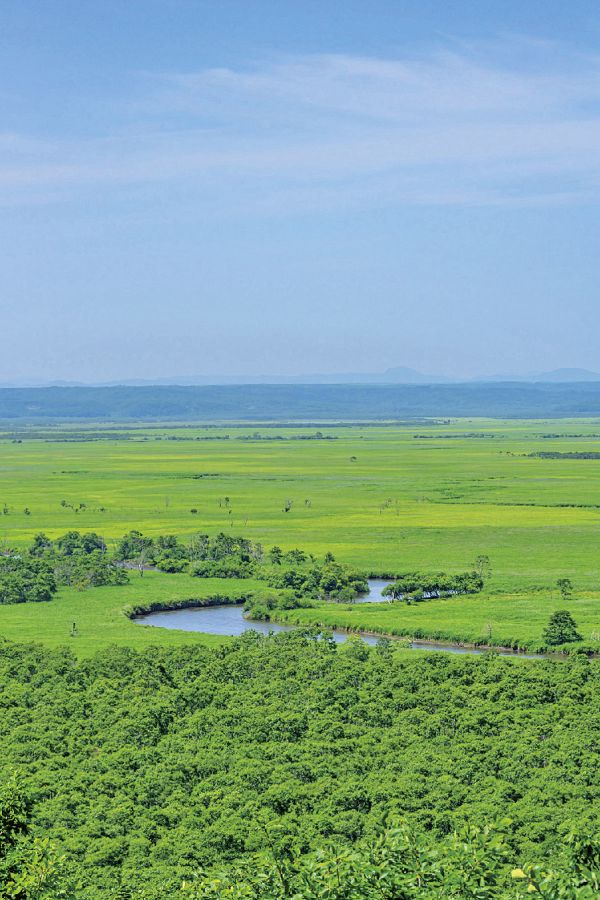 釧路湿原