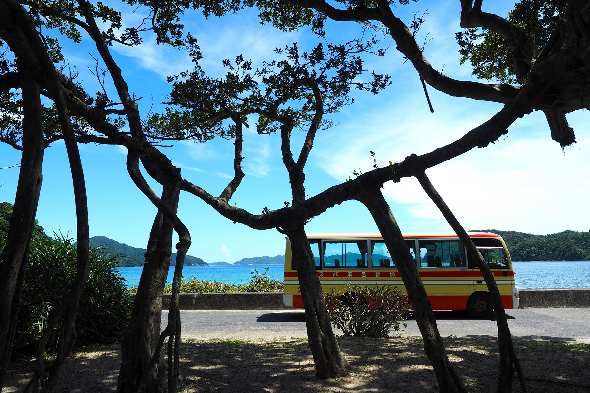 レトロなデザインの加計呂麻バスに、まるでタイムスリップした感覚