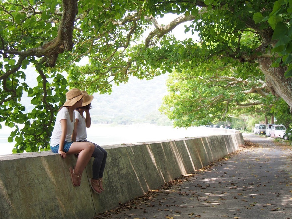 【奄美】離島すぎる加計呂麻島を手軽に堪能できるツアー4選