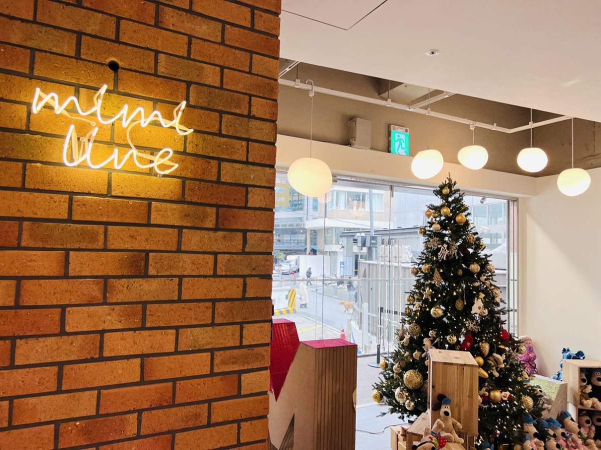 シーズンごとに合わせて店内のデコレーションも変化。今はやはり冬に合わせてクリスマスムードたっぷりの店内です！