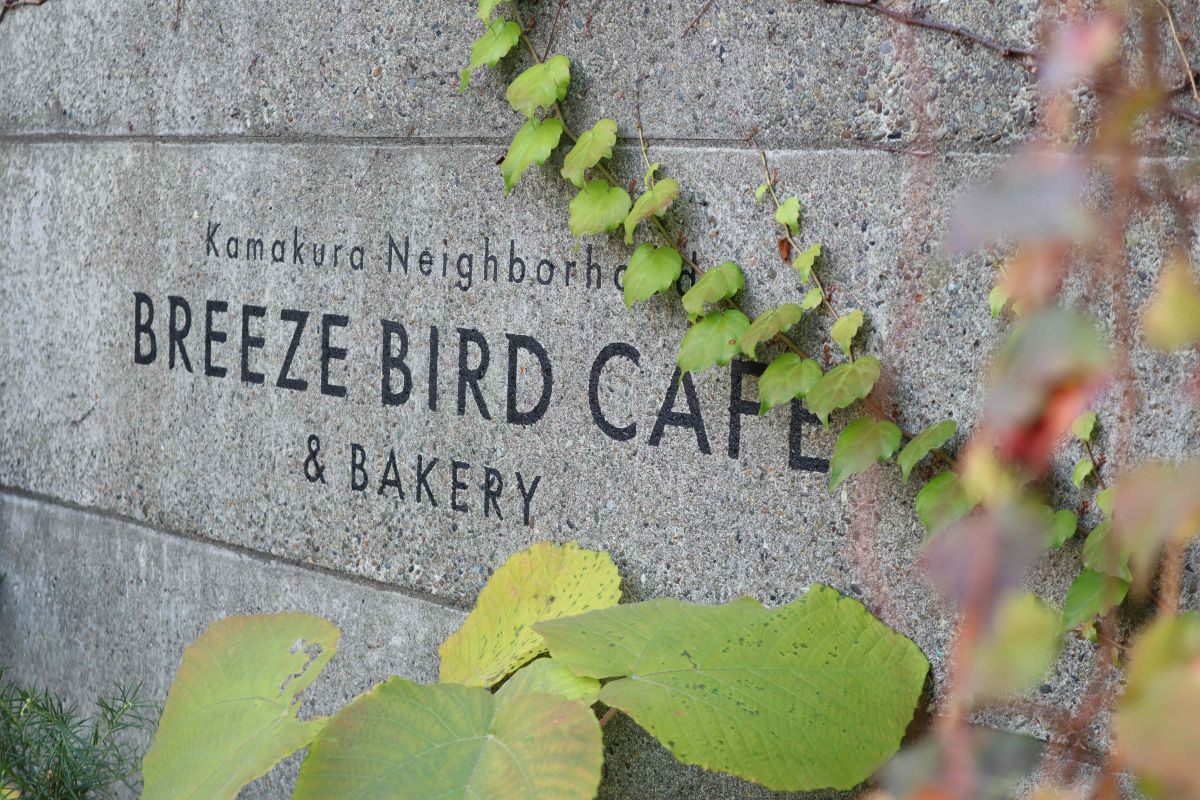 風が通り抜ける心地いい空間がコンセプト