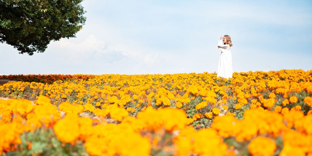 暮らしの質が上がる移住先は？アクセス抜群な埼玉県本庄市での1週間をご紹介