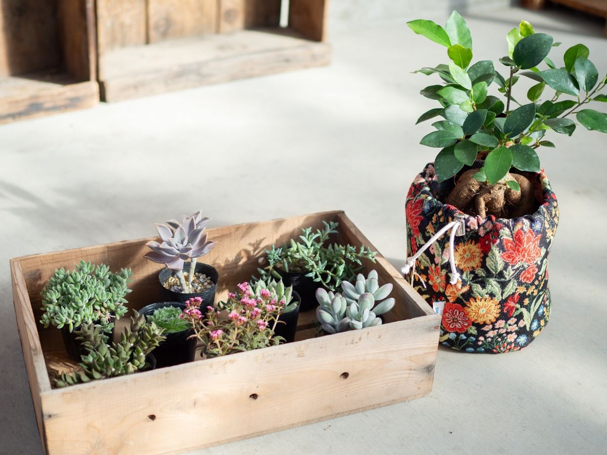 ポットカバー5号サイズ1760円