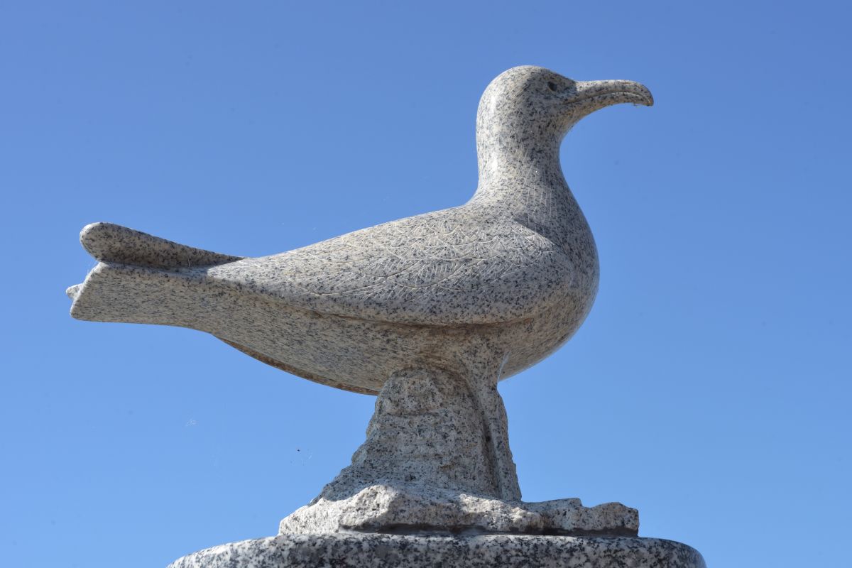 蕪嶋神社の狛犬はウミネコ！