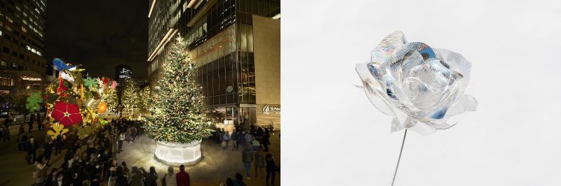 クリスマスツリー「KIOI ENCHANTED TREE」と冬にしか咲かないバラ「PRISM ROSE」