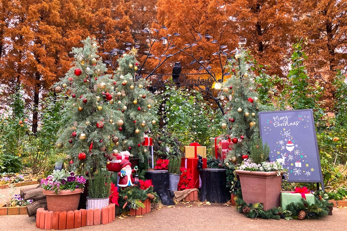 2022年の色彩のローズガーデンフォトスポット