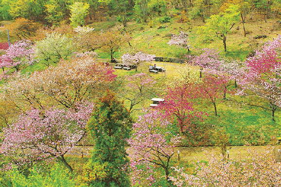 長瀞ハイキング