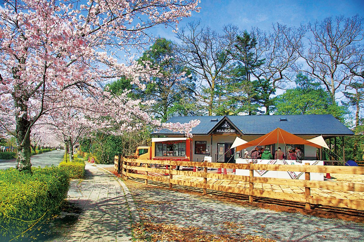 焚火レストランHIASOBI