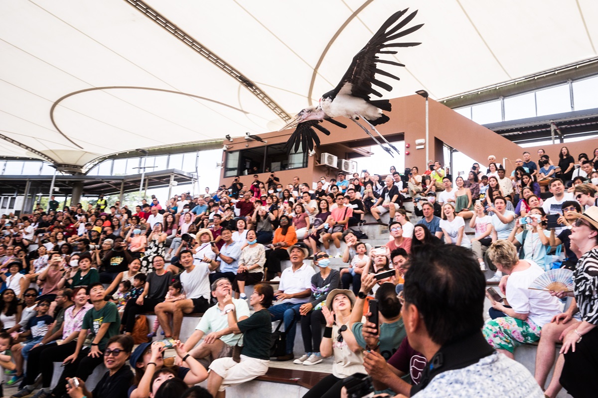 Photo Credit_Mandai Wildlife Group