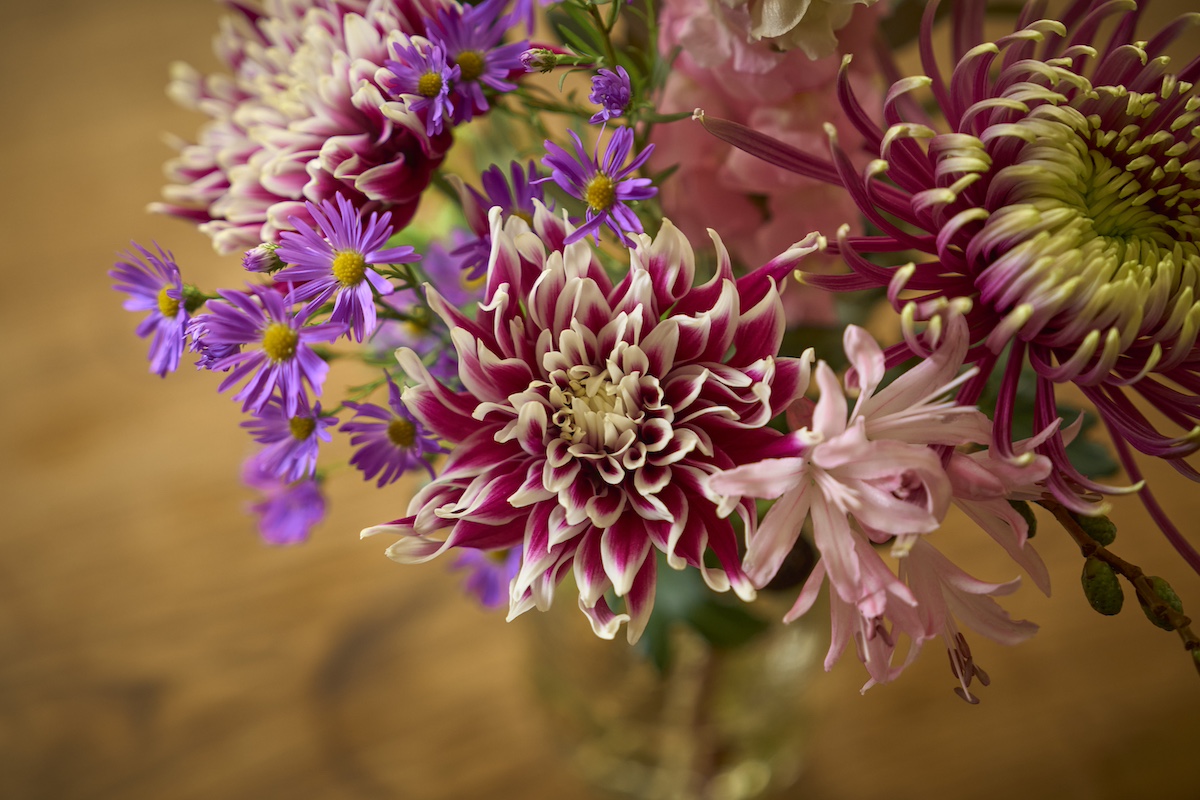 新鮮さに誰もが驚くはず