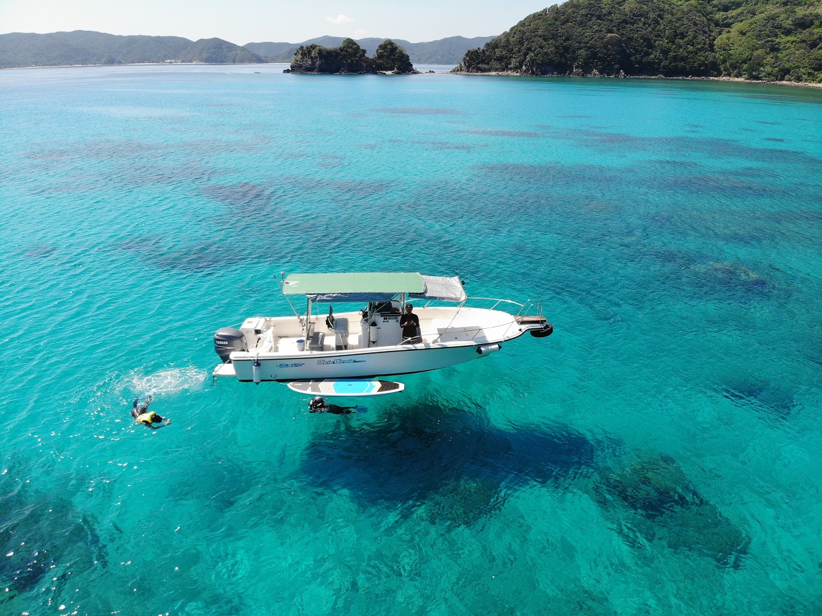 海の透明度が高いので、泳げなくてもボートの上から珊瑚を眺められます