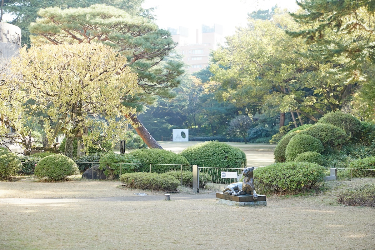 新館にある「カフェ庭園」から「芝庭」方向を見たところ