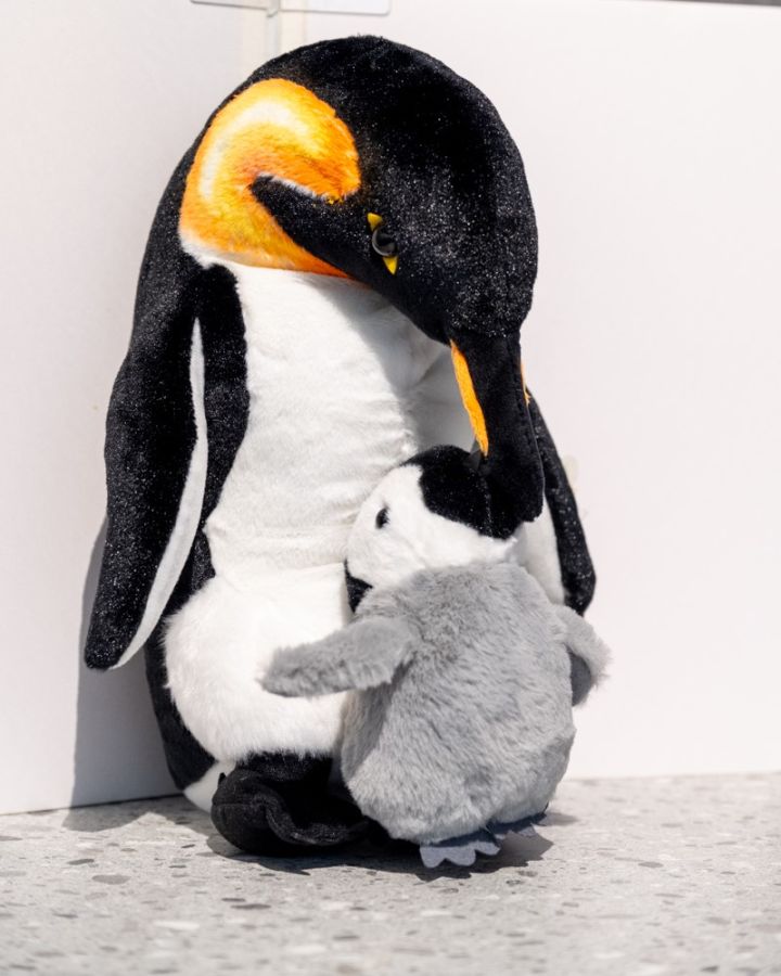 オウサマペンギンの親子のぬいぐるみS$49